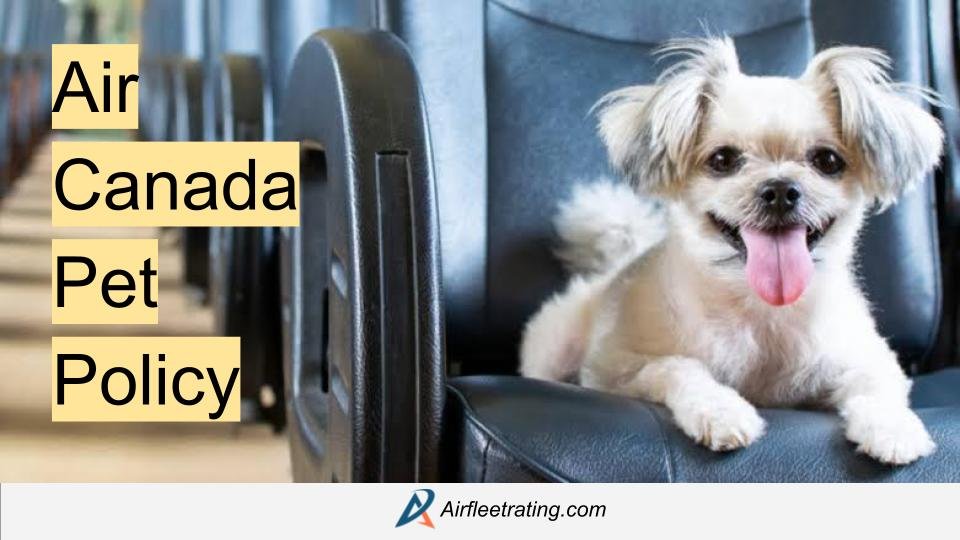 Air Canada Pet Policy