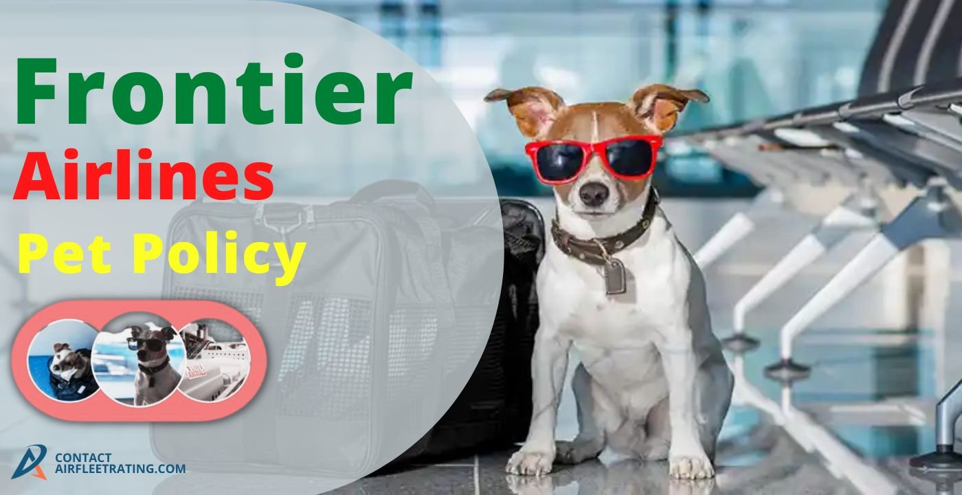 frontier airline pet travel policy