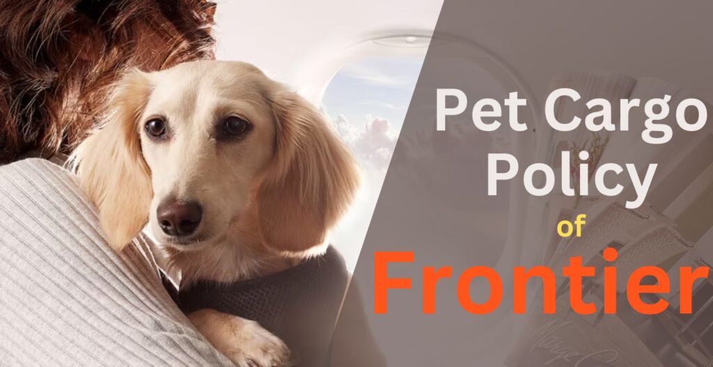 airfleetrating-frontier flying with pets in cargo