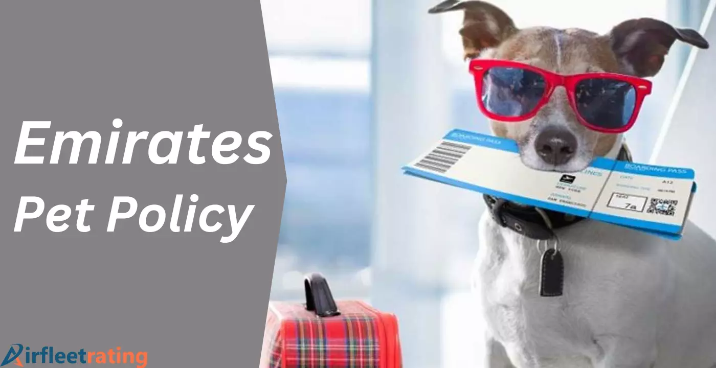 airfleetrating-Emirates Pet Travel Policy